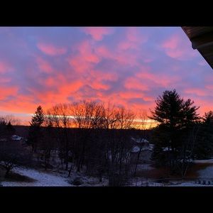 Meet your Posher, Alaina